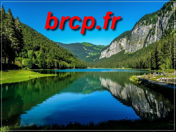 brcp.fr